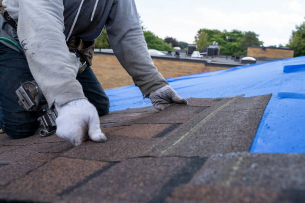 Best Flat Roof Repair Services  in Monroeville, IN