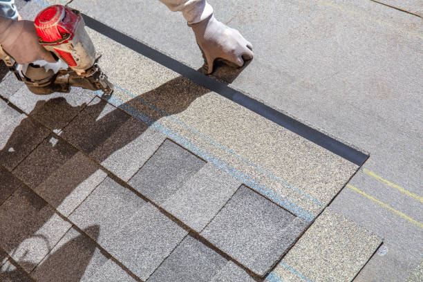 Best Storm Damage Roof Repair  in Monroeville, IN